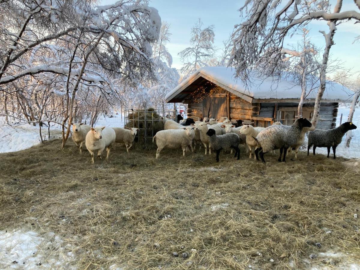 Kuttainen Lodge Karesuando Εξωτερικό φωτογραφία